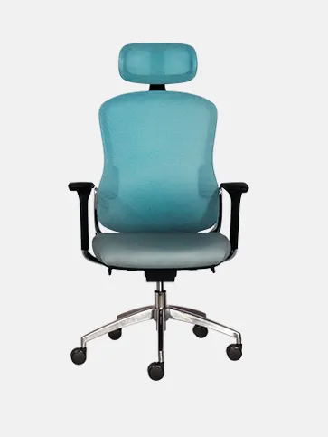 Ghế công thái học OTTA